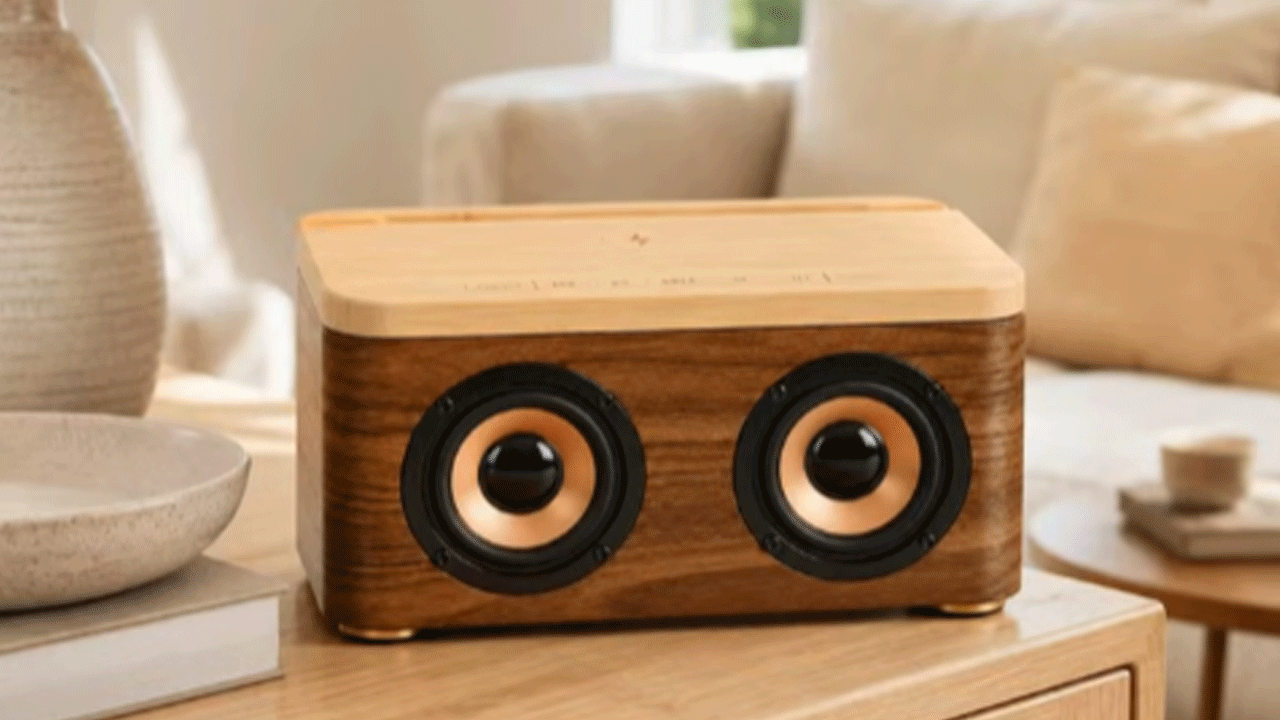 ZTZ-M100 Premium Wooden Speaker | Custom OEM/ODM Speaker Manufacturer
